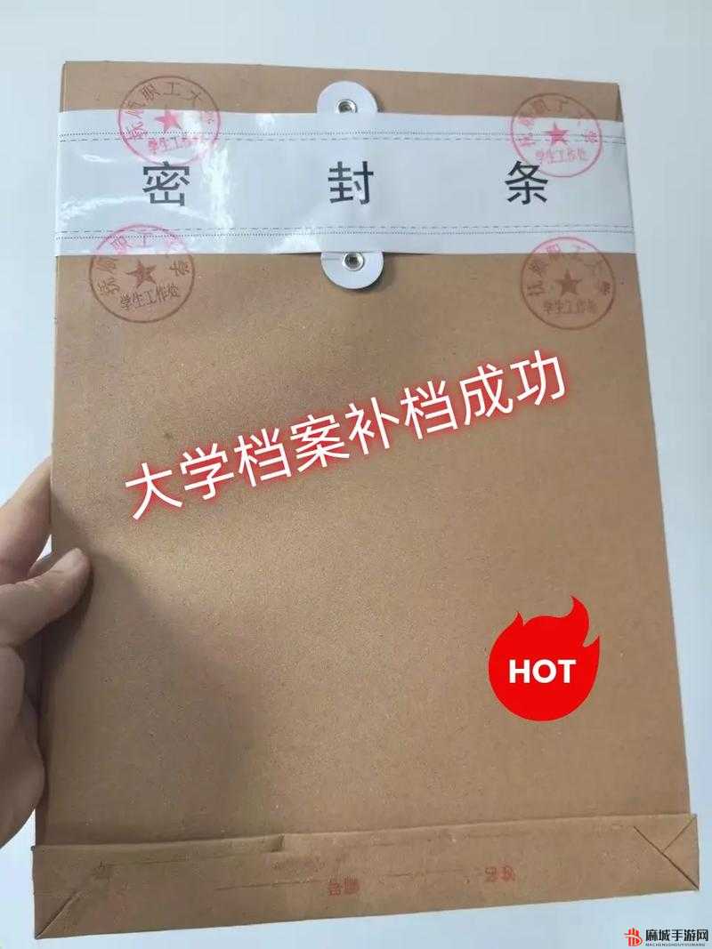 详解大多数文件与数据的存档及保存方法与步骤指南