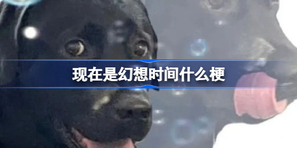 现在是幻想时间什么梗-现在是幻想时间梗含义介绍