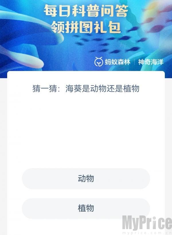 猜一猜海葵是动物还是植物 支付宝神奇海洋4月26日答案2023