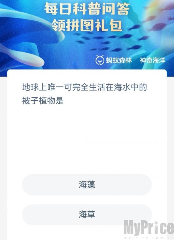 完全生活在海水中的被子植物 支付宝神奇海洋5月5日答案2023